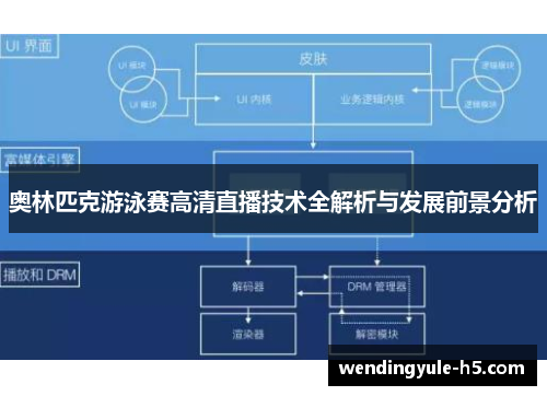 奥林匹克游泳赛高清直播技术全解析与发展前景分析